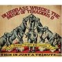 Bluegrass Wrecks the Music of Tenacious D: This Is Just a Tribute