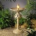 Low Voltage Birdbath with Light