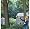 Black & Decker NPP2018 18-Volt Cordless Electric Pole Chain Saw, 8-Inch Bar