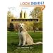The Dogs of Central Park