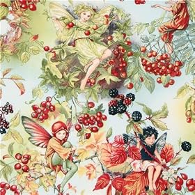 Michael Miller tissus Automne F�es baies de f�es (vendus par multiples de 0,5 m�tres)