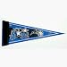 NBA Orlando Magic Set of 3 Mini Pennants **
