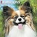 2016 Just Papillons Wall Calendar