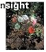 Books : In Sight