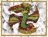 MUZICAL PHOENIX(完全生産限定盤)(DVD付)