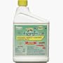 Bioganic Insect Control Concentrate, 16-Ounce