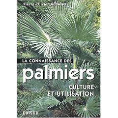 La connaissance des palmiers