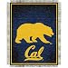 Cal Jacquard Woven Throw Blanket