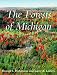 The Forests of Michigan