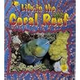 Life in the Coral Reef (Crabapples) by  Bobbie Kalman and Niki Walker