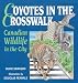 Coyotes in the Crosswalk: Canadian Wildlife in the City