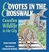 Coyotes in the Crosswalk: Canadian Wildlife in the City
