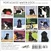 Portuguese Water Dogs 2010 Mini Wall