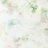 ルノン 壁紙6m フェミニン 花柄 ミックス 空気を洗う壁紙 RH-9149