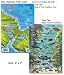 Franko's Two Harbors, Catalina Reef Creatures Guide (fish card)