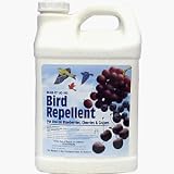 1 Gal AG145 ReJex-It