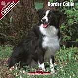 2009 Border Collie Wall Calendar