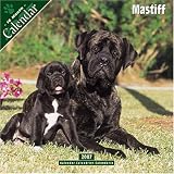 Mastiff 2007 Wall Calendar