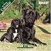 Mastiff 2007 Wall Calendar