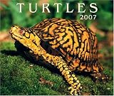 Turtles 2007