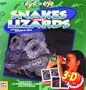 Snakes and Lizards (Eye-To-Eye)