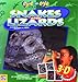 Snakes and Lizards (Eye to Eye)