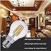LED Filament Light Bulb,VCE® LED Edison Bulb 6W,60W Equivalent,Not Dimmable,3000K