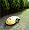 Friendly Robotics - RL800 - 1