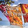 Tropical Steel Drums