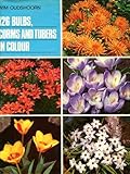126 bulbs, corms and tubers in colour
