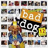Bad Dog Wall Calendar 2007 (Wall Calendar)