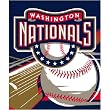 Washington Nationals MLB Royal Plush Raschel Blanket (Big Stick Series) (50"x60")