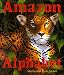 Amazon Alphabet