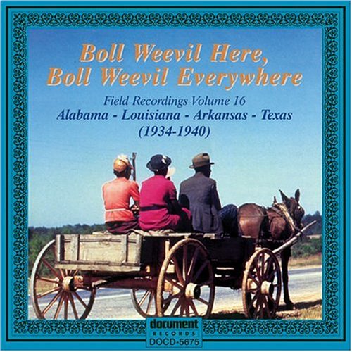 CD-Charts  Search : Field Recordings Vol.16 1934-1940: Boll Weevil Here Boll Weevil Everywhere