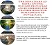 Search : The Mega Make An Extra Income, Success Principles and eCommerce for Feather Beds Web Businesses 3 CD Power Pack
