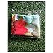 FOR U DESIGNS 18/20/24/28 Inch Stylish Spandex Outdoor Travel Luggage Cover
