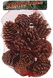Cinnamon Scented Pine Cones Large Mix 12-14/Pkg-Natural