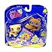 Littlest Pet Shop Pet Pair - Messiest 652 and 653 - Raccon and Ferret