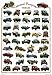 General Purpose Vehicles 27x39