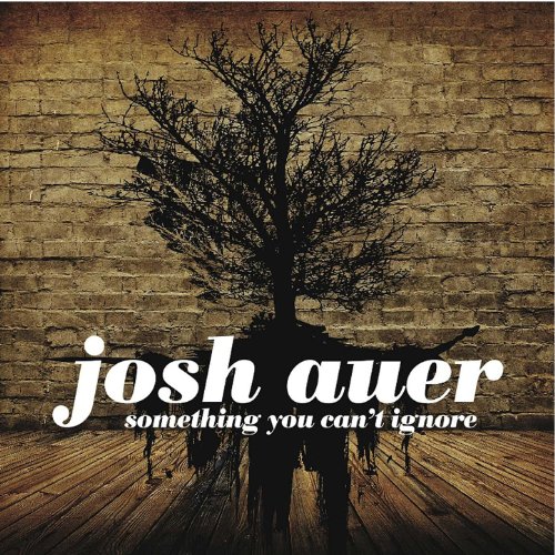 Something You Can't Ignore Josh Auer