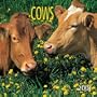 Cows 2001 Calendar