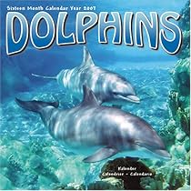 Dolphins 2007 Wall Calendar
