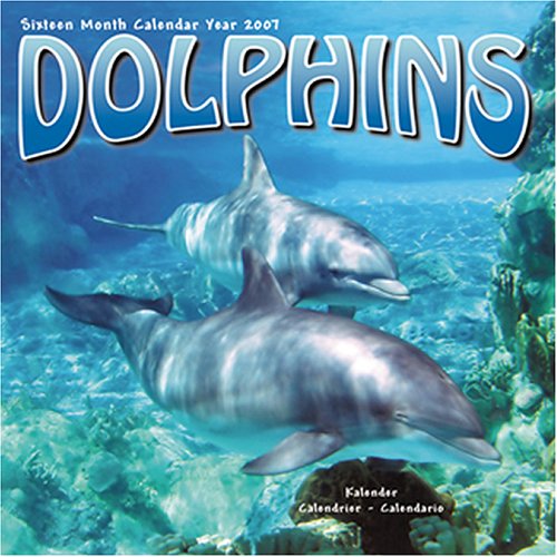 Dolphins 2007 Wall Calendar