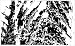 Earthquake!:
A
Post-biblical
View
(RIEAeuropa
Concepts)