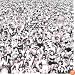 Listen Without Prejudice Vol.1