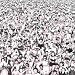 Music : Listen Without Prejudice Vol.1