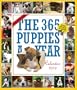 The 365 Puppies-A-Year Calendar 2010 (Picture-A-Day Wall Calendars)