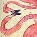 YOUR SMILE-Flamingo Cotton Linen Throw Pillow Covers Decorative 18 x 18