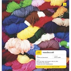 Needlecraft (Teach Yourself Arts & Crafts)