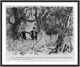 Historic Print (S): [Cartoon of Florida real estate agent showing dense swampland to client, saying: Can't y